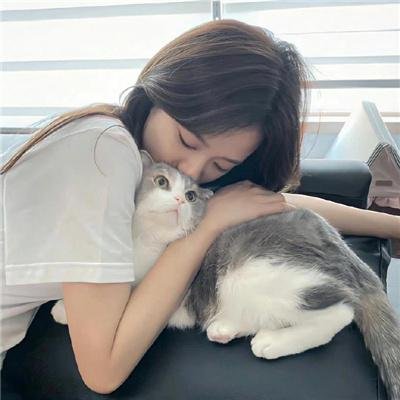改道人生